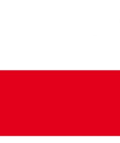 Flagge 20 x 30 cm THÜRINGEN