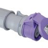 CEE-Kupplungssteckdose max.24V 32A 2-polig ec921