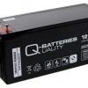 Q-Batteries 12LC-180/ 12V -193Ah vb649