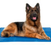Hunde-Kühlmatte L 50 x 65 cm Hunde-Kühlmatte L.