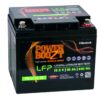 Powerboozt Lithium Batterie PB-Li 12-50 Nennpannung 12