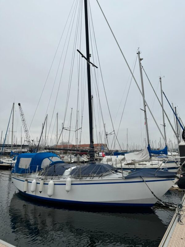 Lorbas - ein Abenteuer beginnt Lembus - Die Lorbas kommt in die Familie