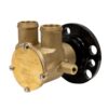 Johnson Impellerpumpe johnson_impellerpumpe__124714