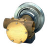 Johnson Impellerpumpe F8B-5001 johnson_impellerpumpe_f8b_5001_21703