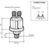 veratron_vdo_öldruck_sensor_25bar_350psi__2p__m14x_26953