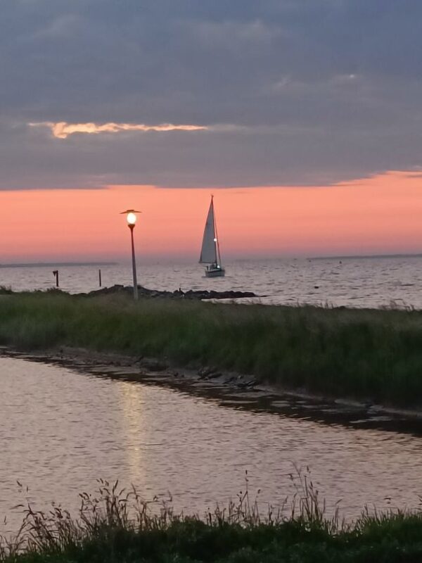 Mast ab !!! Lorbas: Endlich geht es los IMG20240519220032