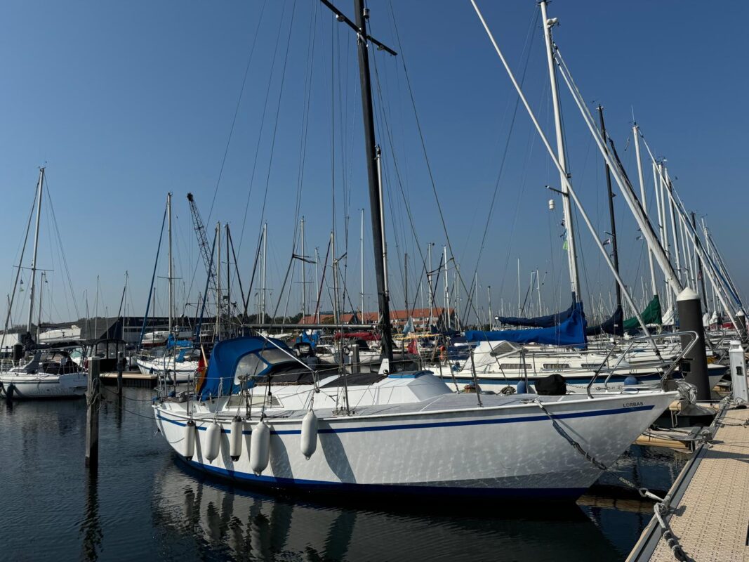 Mast ab !!! Lorbas: Endlich geht es los Lorbas Mast ab 113 1