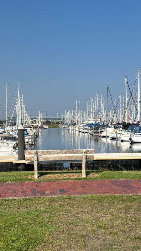 Mast ab !!! Lorbas: Endlich geht es los Lorbas Mast ab 12 2