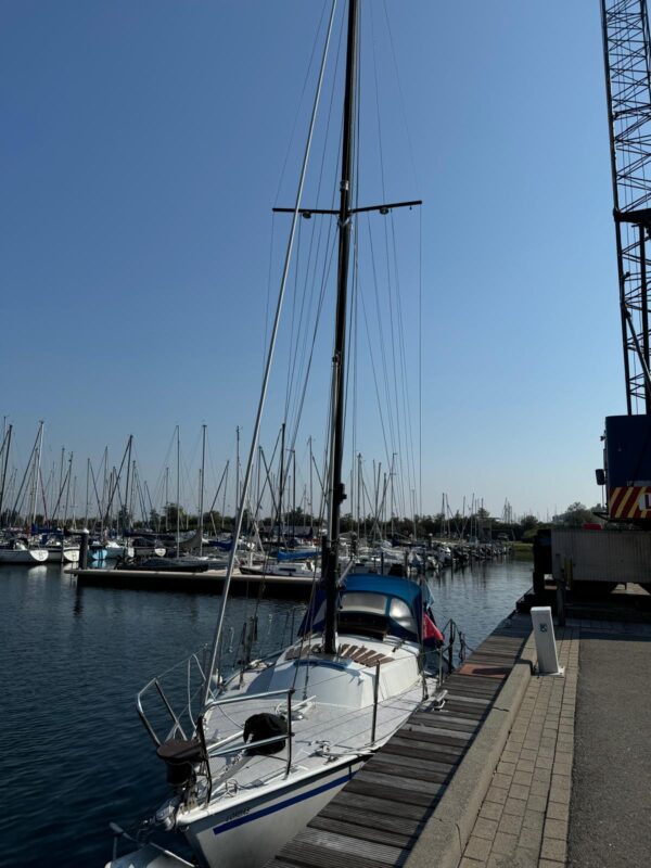 Mast ab !!! Lorbas: Endlich geht es los Lorbas Mast ab 15