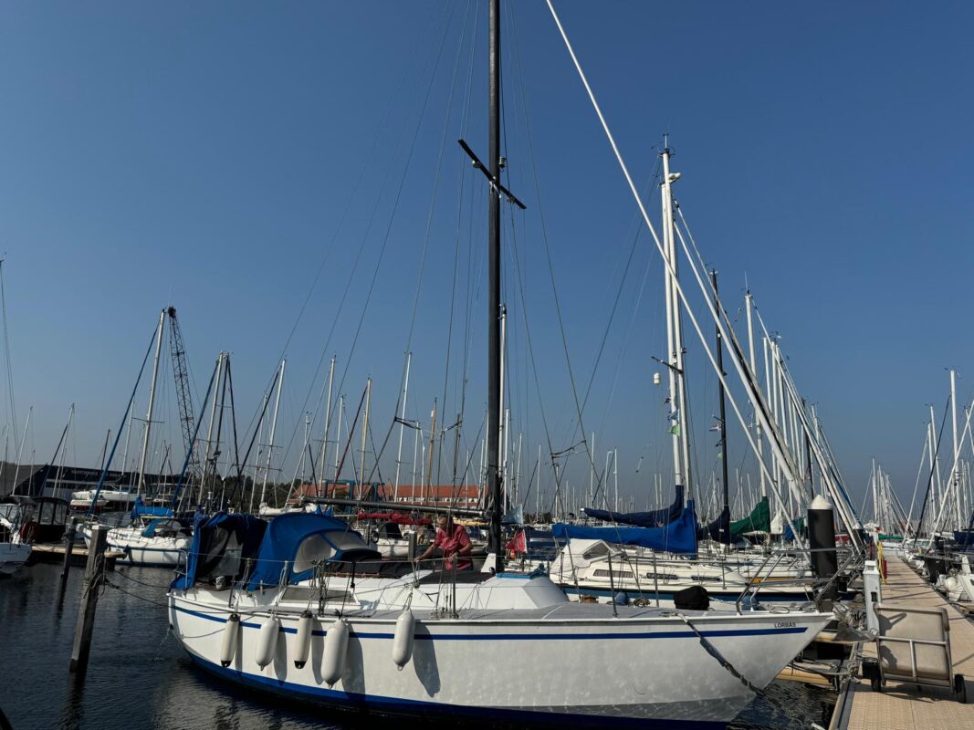 Mast ab !!! Lorbas: Endlich geht es los Lorbas Mast ab 16 2