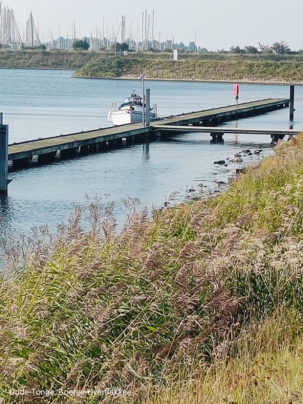 Mast ab !!! Lorbas: Endlich geht es los Lorbas Mast ab 220