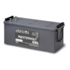 Mastervolt Batterie MVG 12/120 Ah mastervolt batterie mvg 12 120 ah 170162