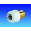 Webasto Hep2O® Messingnippel 15 x 1/2 webasto hep2o messingnippel 15 x 1 2 66618