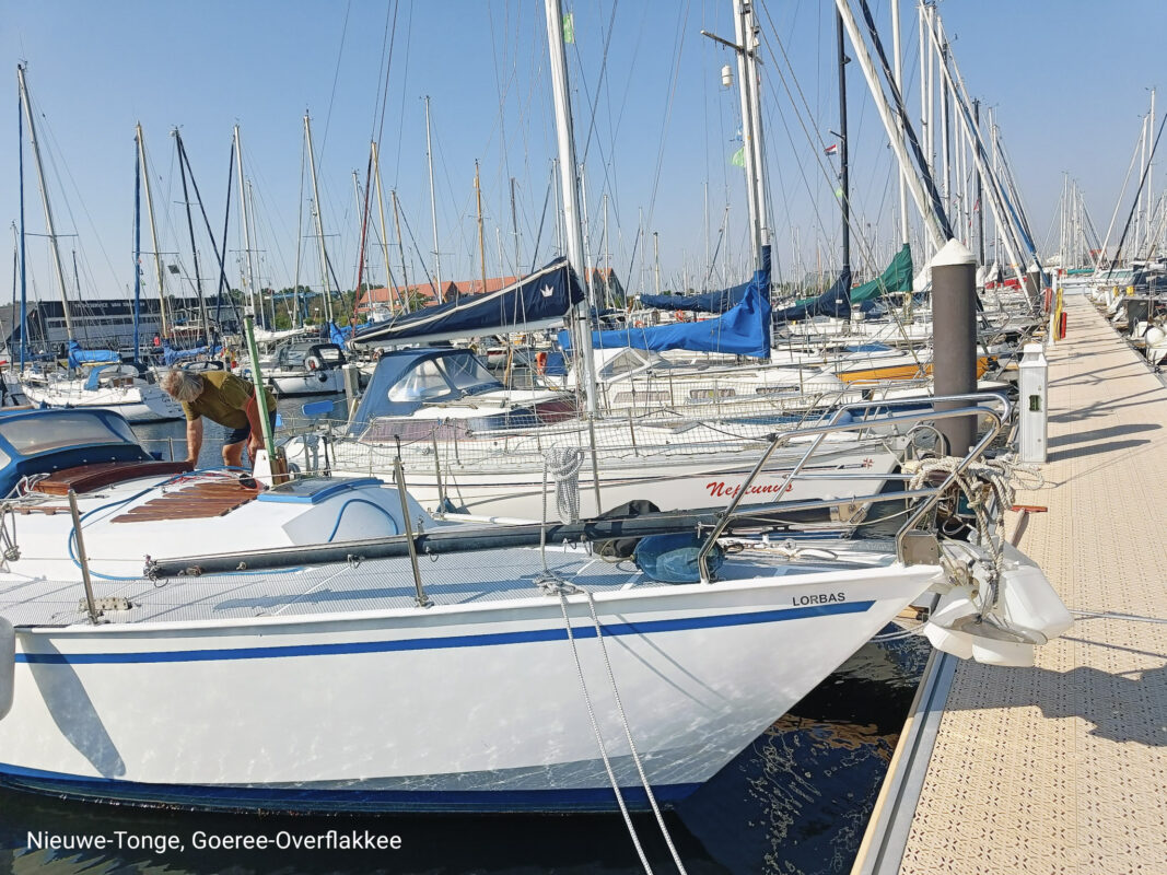 Lorbas und das lange Warten 12 IMG20240920123451