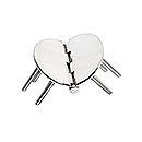 Roca Scharnier rostfreier Stahl oval 42,5+42,5x60mm mit angeschweissten Bolzen M6 L=50mm verdeckt