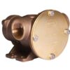 Jabsco Impellerpumpe Bronze PED 080 BSP (52580-2001) 1513506 jabsco impeller pumpe brz ped 080 bsp 52580 2001 1