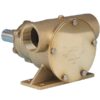 Jabsco Impellerpumpe Bronze PED 200 BSP (52200-2011) 1513508 jabsco impeller pumpe brz ped 200 bsp 52200 2011 1