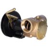 Jabsco Impellerpumpe mit manueller Magnetkupplung 270 BSP (51270-2011) 1513550 jabsco impellerpumpe manuel magnet kobling 270 bsp 51270 21 1