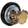 Jabsco Impellerpumpe mit Magnetkupplung 080 2A 24V (50080-2101) 1513558 jabsco impellerpumpe magnet kobling 080 2amp 24v 50080 2101 1