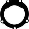 Dichtung für Impellerpumpe 5 Löcher 2361 1515260 dichtung fr impellerpumpe 5 lcher 2361 1