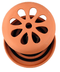 Insektenspirale-Terrakottatopf