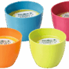 Citronella-Kerzen S 30108.9733796b