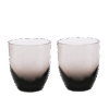 Trinkglas FERIA smokey 2er Set 47373.0f025838