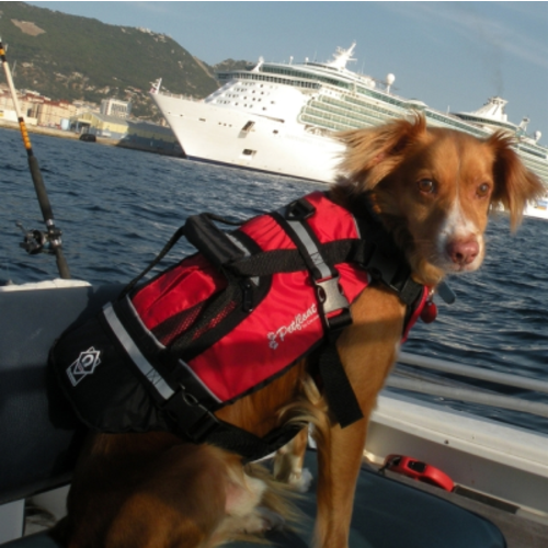 Crewsaver Crewsaver Hundeweste Größe S 2370-S Crewsaver Crewsaver Crewsaver Hundeweste Größe S 2370-S - Produktbild 5 - Artikel 2370-S
