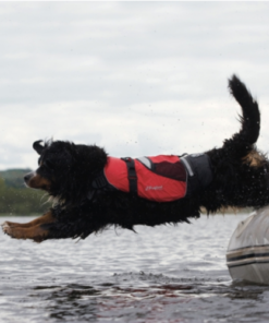Crewsaver Crewsaver Hundeweste Größe S 2370-S Crewsaver Crewsaver Crewsaver Hundeweste Größe S 2370-S - Produktbild 1 - Artikel 2370-S