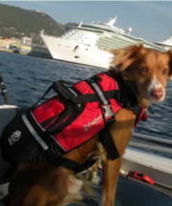 Crewsaver Crewsaver Hundeweste Größe XLA 2370-XLA Crewsaver Crewsaver Crewsaver Hundeweste Größe XLA 2370-XLA - Produktbild 5 - Artikel 2370-XLA