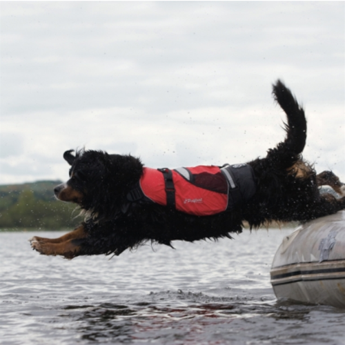 Crewsaver Crewsaver Hundeweste Größe XLA 2370-XLA Crewsaver Crewsaver Crewsaver Hundeweste Größe XLA 2370-XLA - Produktbild 1 - Artikel 2370-XLA