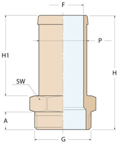 Guidi Schlauchverbinder „Export“ M - G 1/2'' P 19 Guidi Schlauchverbinder „Export“ M - G 1/2'' P 19 - Produktbild 2 - Artikel 1020.100129