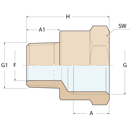 Guidi Reduzierhülse FM - G 1''1/2 auf 1'' Guidi Reduzierhülse FM - G 1''1/2 auf 1'' - Produktbild 2 - Artikel 0246B.200218