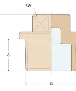 Guidi Gewindekappe M - G 1/2'' Guidi Gewindekappe M - G 1/2'' - Produktbild 2 - Artikel 0290B.200004