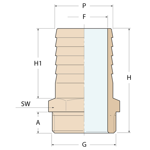 Guidi Schlauchverbinder M - G 1''1/2 P 40 Guidi Schlauchverbinder M - G 1''1/2 P 40 - Produktbild 2 - Artikel 1004B.200169