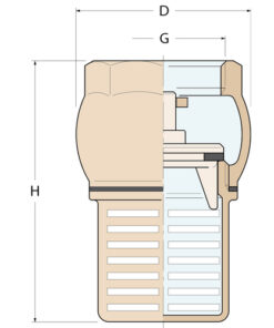 Guidi Bodenventil mit Gummidichtung - G 1''1/2 - Produktbild 2 - Artikel 1530.100008
