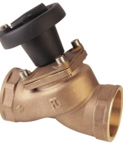 Guidi Antihaft-Ventil - G 4'' - Produktbild 1 - Artikel 2210.200013
