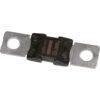 BUKH PRO FUSE MEGA 100A/32V BUKH PRO FUSE MEGA 100A/32V - Produktbild 1 - Artikel K1105101