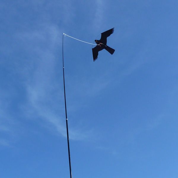 Vogelschreck mit 6m Glasfiberstange und 5m Leine Vogelschreck mit 6m Glasfiberstange und 5m Leine