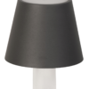 Flaschenlampe FIOCCO grau CCT (N)