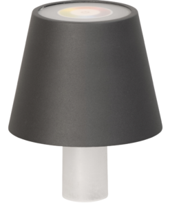 Flaschenlampe FIOCCO grau RGB (N)