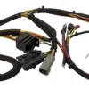 Engine wiring 1P-D(T)4.29