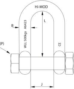PETERSEN D-Schäkel mit Mutter und Splint A4L Pin 12mm, WLL1250kg