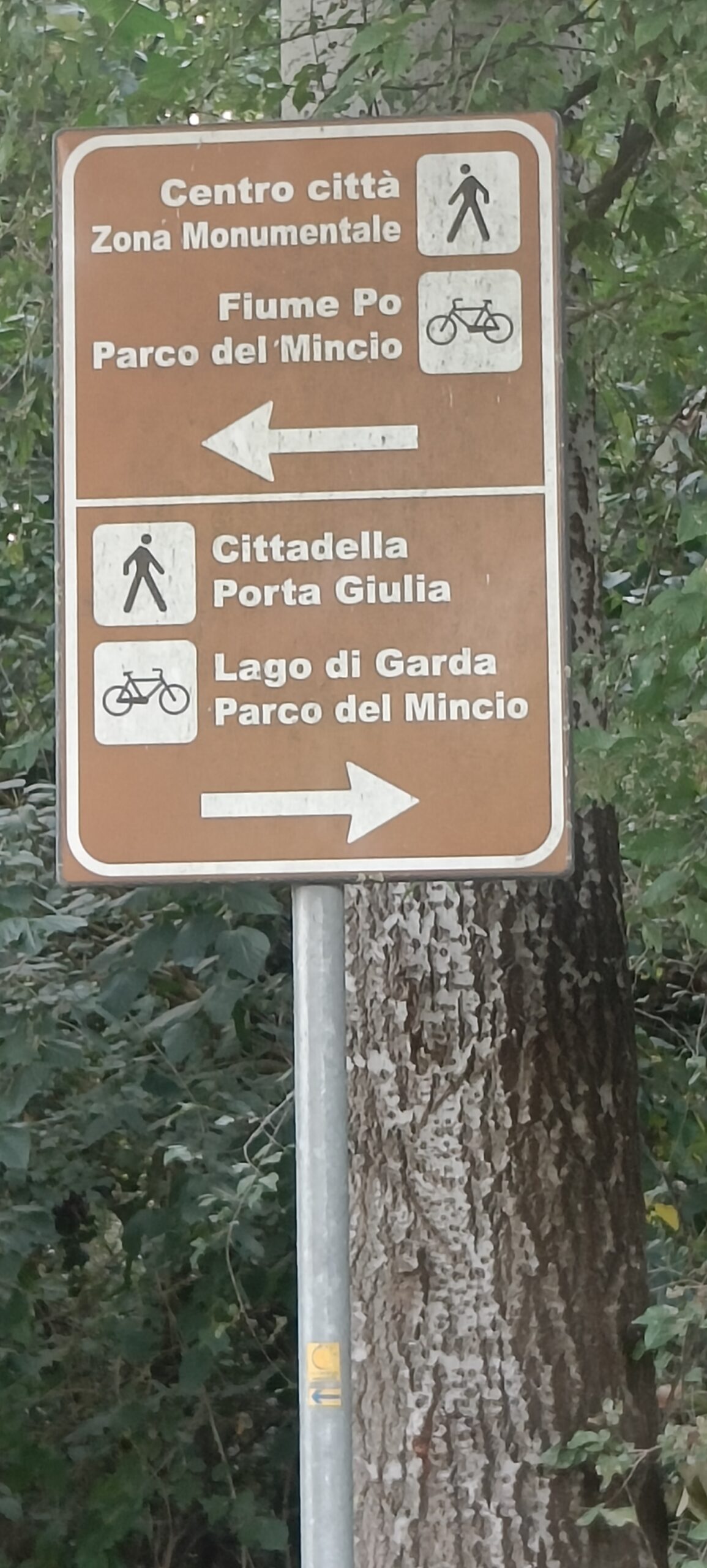 Mantua mit dem Wohnmobil – unsere erste Etappe zwischen Seen, alten Mauern und großen Geschichten Wegweiser zu Mantuas Zentrum, dem Mincio-Park und dem Gardasee
