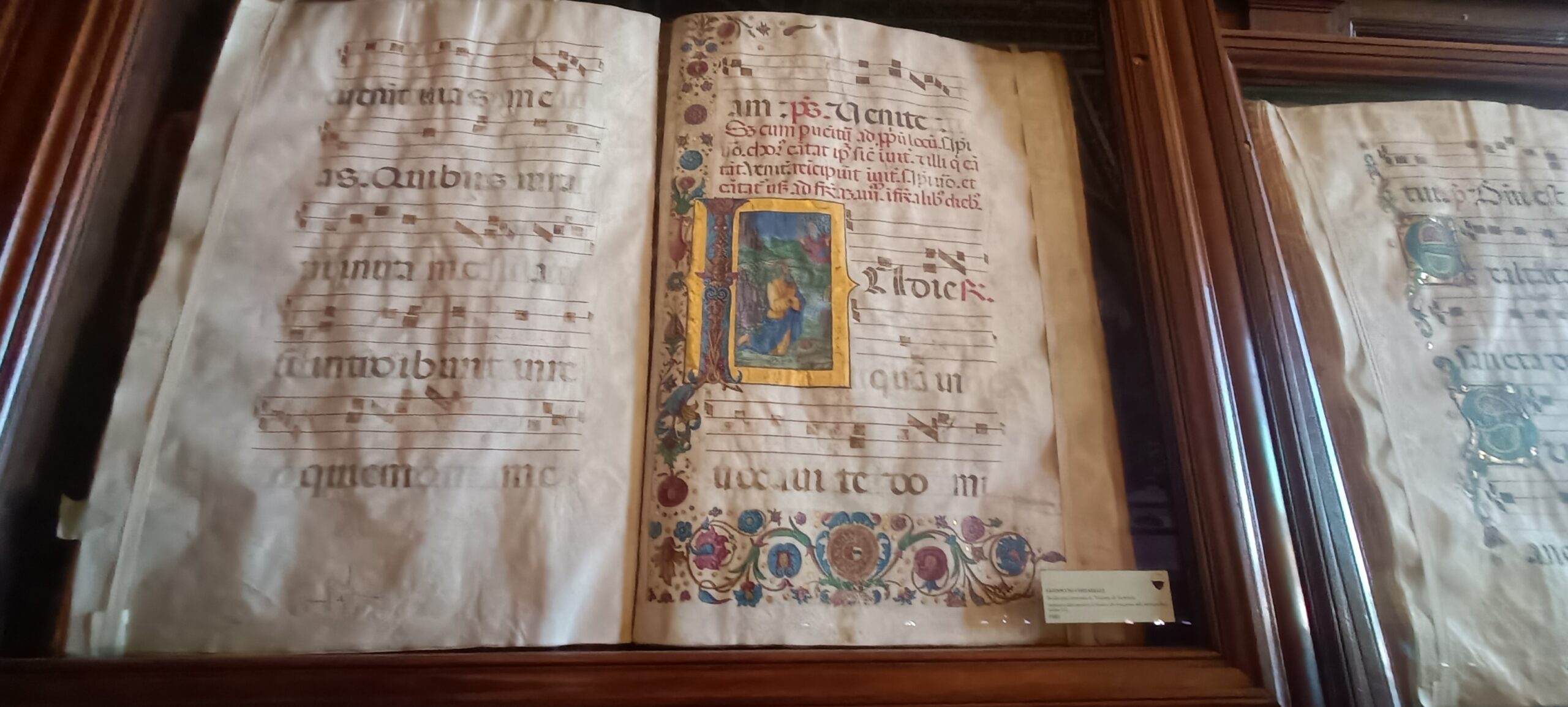 Siena mit dem Wohnmobil – unser zweiter großer Stopp und Gedanken über Freiheit Aufgeschlagene illuminierte Handschrift in der Libreria Piccolomini