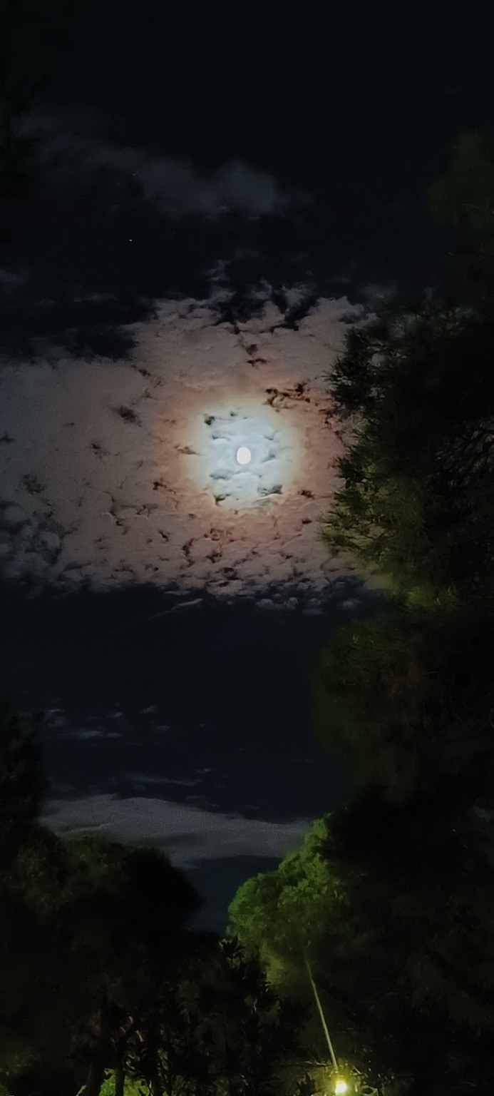 Riva di Ugento mit dem Wohnmobil – zehn Tage Meer, Nachbarn und Lilibet Mond und Wolken über den Bäumen des Campingplatzes